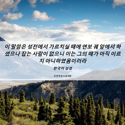 Picture 06 - 요한복음 8:20 KOR - 이 말씀은 성전에서 가르치실 때에 - Bible Verse Picture