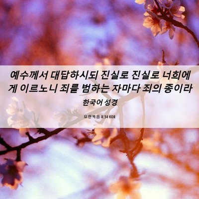 Picture 06 - 요한복음 8:34 KOR - 예수께서 대답하시되 진실로 진실로 - Bible Verse Picture