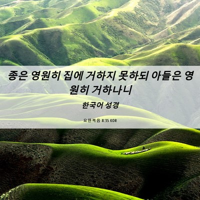 Picture 06 - 요한복음 8:35 KOR - 종은 영원히 집에 거하지 못하되 - Bible Verse Picture