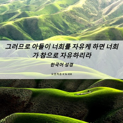 Picture 06 - 요한복음 8:36 KOR - 그러므로 아들이 너희를 자유케 하면 - Bible Verse Picture