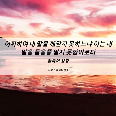 Picture 06 - 요한복음 8:43 KOR - 어찌하여 내 말을 깨닫지 못하느냐 - Bible Verse Picture
