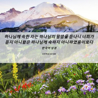 Picture 06 - 요한복음 8:47 KOR - 하나님께 속한 자는 하나님의 말씀을 - Bible Verse Picture