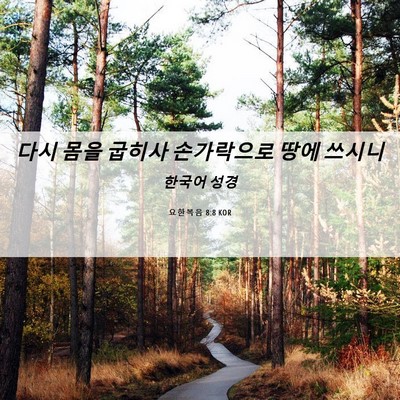 Picture 06 - 요한복음 8:8 KOR - 다시 몸을 굽히사 손가락으로 땅에 - Bible Verse Picture