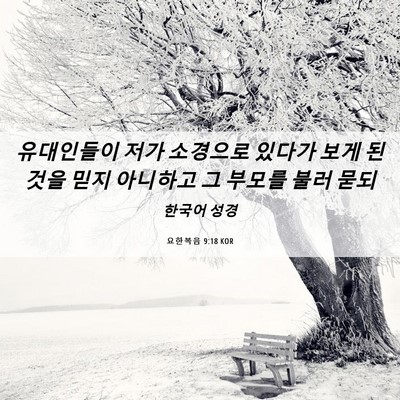 Picture 06 - 요한복음 9:18 KOR - 유대인들이 저가 소경으로 있다가 - Bible Verse Picture
