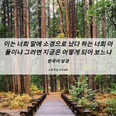 Picture 06 - 요한복음 9:19 KOR - 이는 너희 말에 소경으로 났다 하는 - Bible Verse Picture