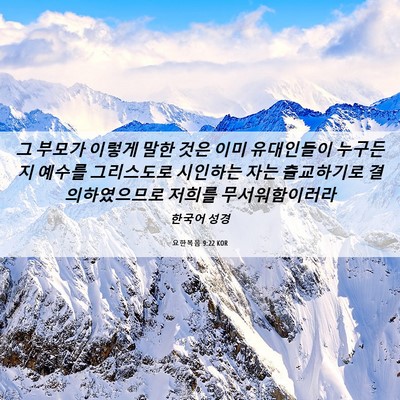 Picture 06 - 요한복음 9:22 KOR - 그 부모가 이렇게 말한 것은 이미 - Bible Verse Picture