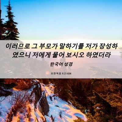 Picture 06 - 요한복음 9:23 KOR - 이러므로 그 부모가 말하기를 저가 - Bible Verse Picture