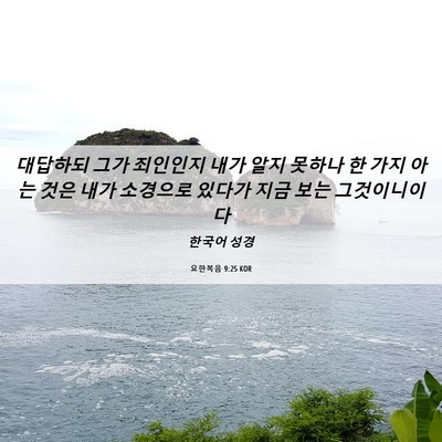 Picture 06 - 요한복음 9:25 KOR - 대답하되 그가 죄인인지 내가 알지 - Bible Verse Picture