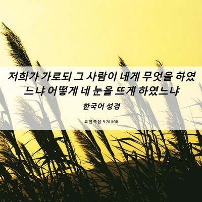 Picture 06 - 요한복음 9:26 KOR - 저희가 가로되 그 사람이 네게 - Bible Verse Picture