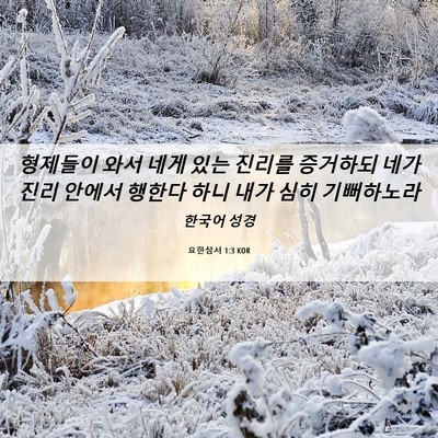 Picture 06 - 요한삼서 1:3 KOR - 형제들이 와서 네게 있는 진리를 - Bible Verse Picture