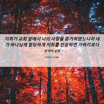 Picture 06 - 요한삼서 1:6 KOR - 저희가 교회 앞에서 너의 사랑을 - Bible Verse Picture
