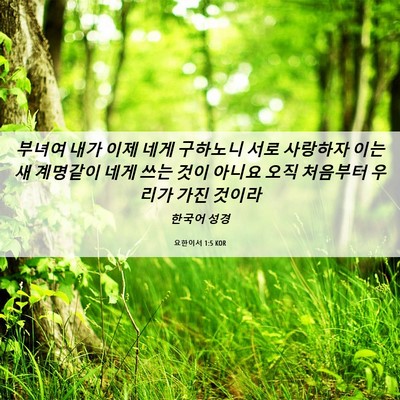 Picture 06 - 요한이서 1:5 KOR - 부녀여 내가 이제 네게 구하노니 - Bible Verse Picture