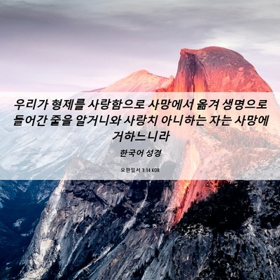 Picture 06 - 요한일서 3:14 KOR - 우리가 형제를 사랑함으로 사망에서 - Bible Verse Picture