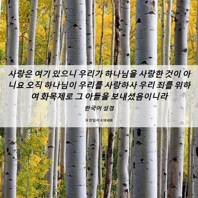 Picture 06 - 요한일서 4:10 KOR - 사랑은 여기 있으니 우리가 하나님을 - Bible Verse Picture