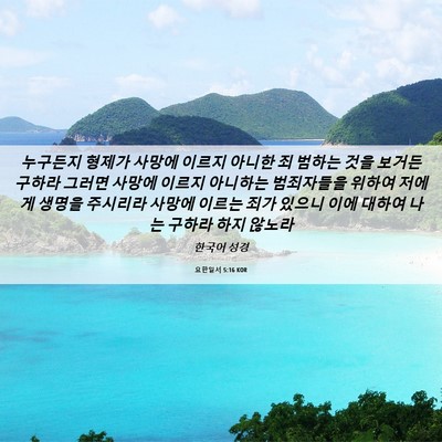 Picture 06 - 요한일서 5:16 KOR - 누구든지 형제가 사망에 이르지 - Bible Verse Picture