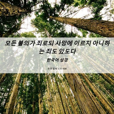 Picture 06 - 요한일서 5:17 KOR - 모든 불의가 죄로되 사망에 이르지 - Bible Verse Picture