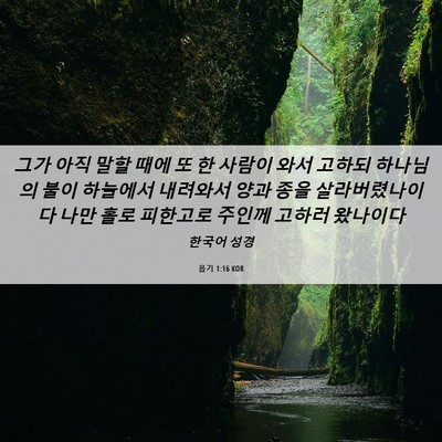 Picture 06 - 욥기 1:16 KOR - 그가 아직 말할 때에 또 한 사람이 - Bible Verse Picture