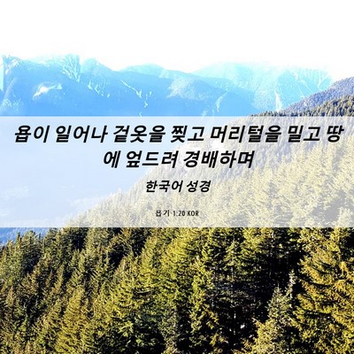 Picture 06 - 욥기 1:20 KOR - 욥이 일어나 겉옷을 찢고 머리털을 - Bible Verse Picture