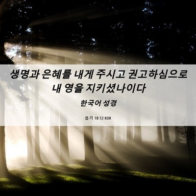 Picture 06 - 욥기 10:12 KOR - 생명과 은혜를 내게 주시고 - Bible Verse Picture