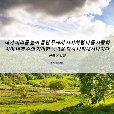 Picture 06 - 욥기 10:16 KOR - 내가 머리를 높이 들면 주께서 - Bible Verse Picture