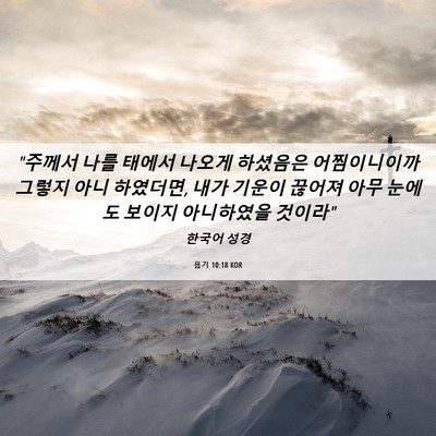 Picture 06 - 욥기 10:18 KOR - 