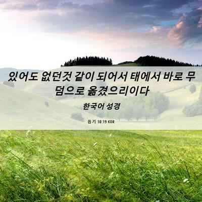 Picture 06 - 욥기 10:19 KOR - 있어도 없던것 같이 되어서 태에서 - Bible Verse Picture