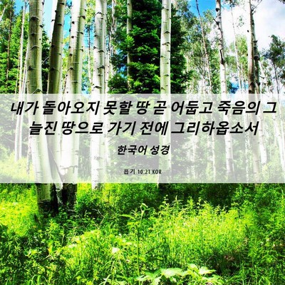 Picture 06 - 욥기 10:21 KOR - 내가 돌아오지 못할 땅 곧 어둡고 - Bible Verse Picture
