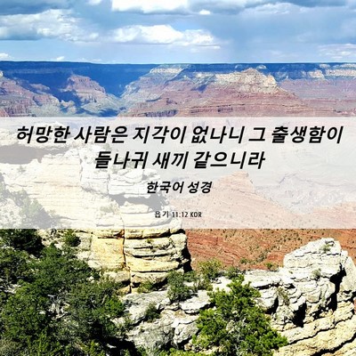 Picture 06 - 욥기 11:12 KOR - 허망한 사람은 지각이 없나니 그 - Bible Verse Picture
