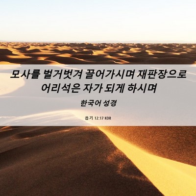 Picture 06 - 욥기 12:17 KOR - 모사를 벌거벗겨 끌어가시며 - Bible Verse Picture