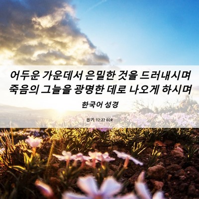Picture 06 - 욥기 12:22 KOR - 어두운 가운데서 은밀한 것을 - Bible Verse Picture