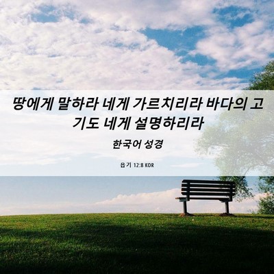 Picture 06 - 욥기 12:8 KOR - 땅에게 말하라 네게 가르치리라 - Bible Verse Picture