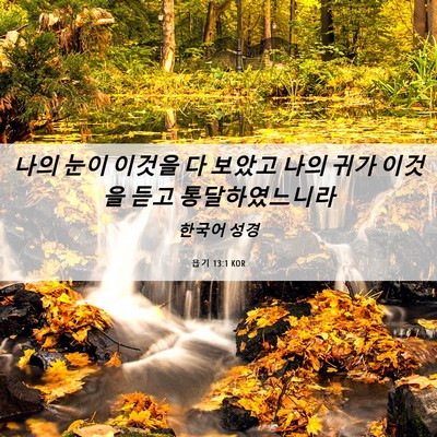 Picture 06 - 욥기 13:1 KOR - 나의 눈이 이것을 다 보았고 나의 - Bible Verse Picture