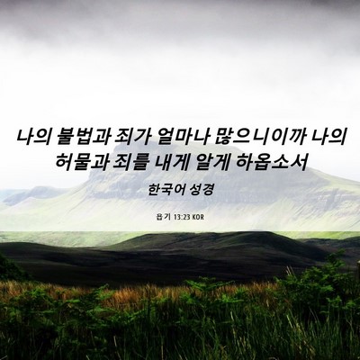 Picture 06 - 욥기 13:23 KOR - 나의 불법과 죄가 얼마나 많으니이까 - Bible Verse Picture