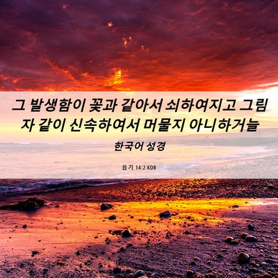 Picture 06 - 욥기 14:2 KOR - 그 발생함이 꽃과 같아서 쇠하여지고 - Bible Verse Picture