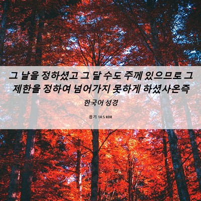 Picture 06 - 욥기 14:5 KOR - 그 날을 정하셨고 그 달 수도 주께 - Bible Verse Picture