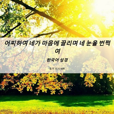 Picture 06 - 욥기 15:12 KOR - 어찌하여 네가 마음에 끌리며 네 - Bible Verse Picture