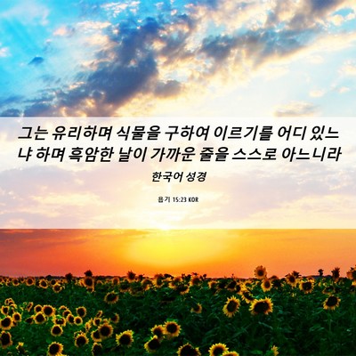 Picture 06 - 욥기 15:23 KOR - 그는 유리하며 식물을 구하여 - Bible Verse Picture