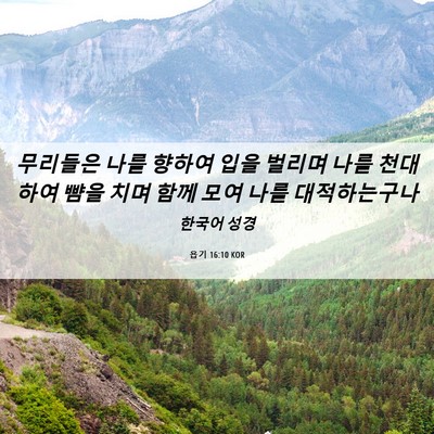 Picture 06 - 욥기 16:10 KOR - 무리들은 나를 향하여 입을 벌리며 - Bible Verse Picture