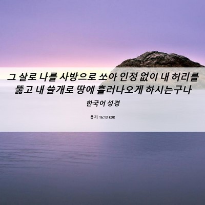 Picture 06 - 욥기 16:13 KOR - 그 살로 나를 사방으로 쏘아 인정 - Bible Verse Picture