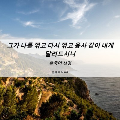 Picture 06 - 욥기 16:14 KOR - 그가 나를 꺾고 다시 꺾고 용사 같이 - Bible Verse Picture
