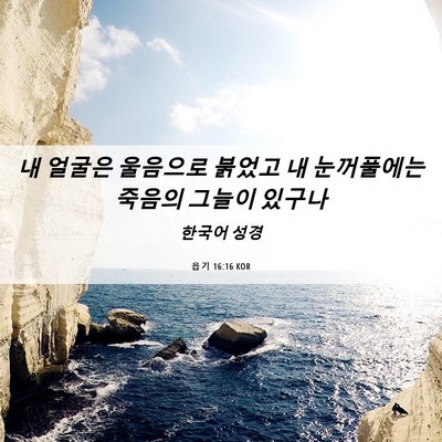 Picture 06 - 욥기 16:16 KOR - 내 얼굴은 울음으로 붉었고 내 - Bible Verse Picture