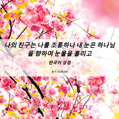 Picture 06 - 욥기 16:20 KOR - 나의 친구는 나를 조롱하나 내 눈은 - Bible Verse Picture