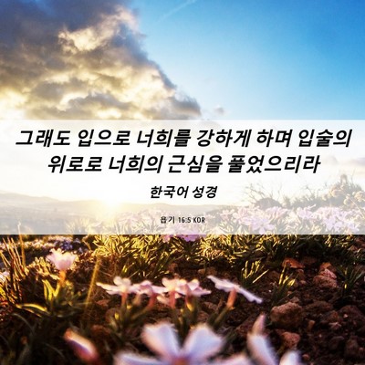 Picture 06 - 욥기 16:5 KOR - 그래도 입으로 너희를 강하게 하며 - Bible Verse Picture