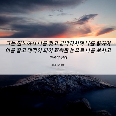 Picture 06 - 욥기 16:9 KOR - 그는 진노하사 나를 찢고 군박하시며 - Bible Verse Picture
