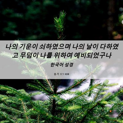 Picture 06 - 욥기 17:1 KOR - 나의 기운이 쇠하였으며 나의 날이 - Bible Verse Picture