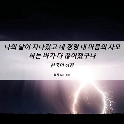 Picture 06 - 욥기 17:11 KOR - 나의 날이 지나갔고 내 경영 내 - Bible Verse Picture