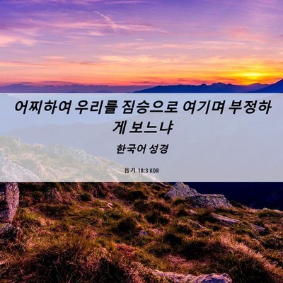 Picture 06 - 욥기 18:3 KOR - 어찌하여 우리를 짐승으로 여기며 - Bible Verse Picture