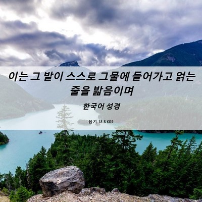 Picture 06 - 욥기 18:8 KOR - 이는 그 발이 스스로 그물에 - Bible Verse Picture