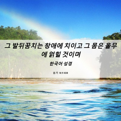 Picture 06 - 욥기 18:9 KOR - 그 발뒤꿈치는 창애에 치이고 그 - Bible Verse Picture