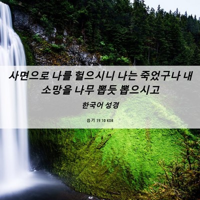 Picture 06 - 욥기 19:10 KOR - 사면으로 나를 헐으시니 나는 - Bible Verse Picture